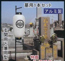 2015ポール6